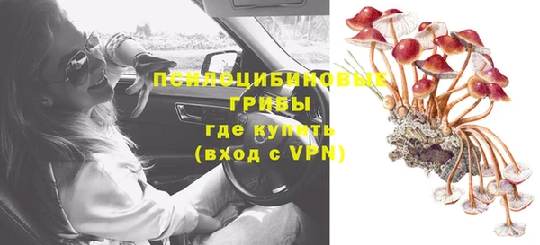 PSILOCYBIN Армянск