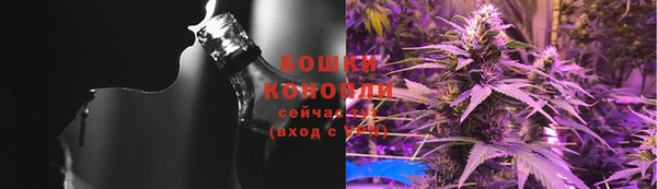 гидропоника Богданович
