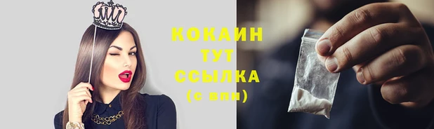 гидропоника Богданович